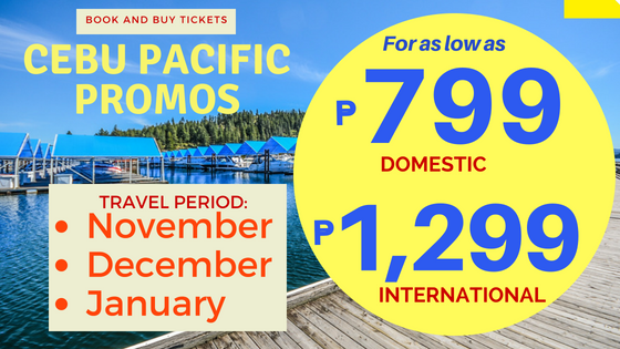 cebu pacific promo fares up to january 2019